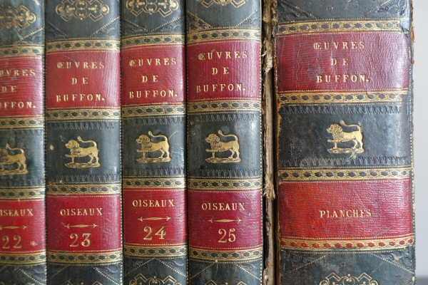 Buffon's Natural History, 26 volumes and colorized plates - fine leather binding - 1829