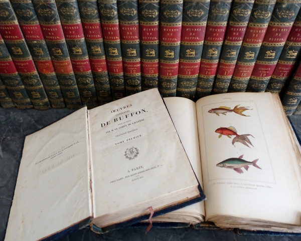 Buffon's Natural History, 26 volumes and colorized plates - fine leather binding - 1829