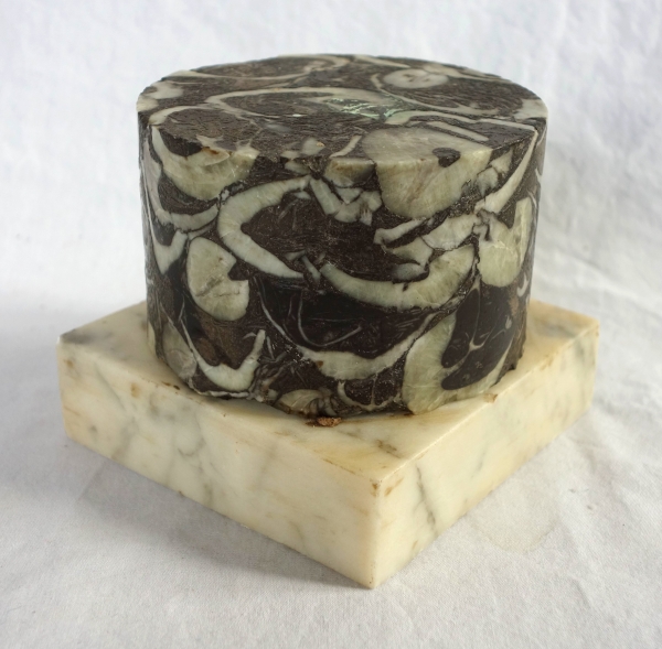 Socle colonne en marbre brèche gris - travail italien de style Louis XVI néoclassique