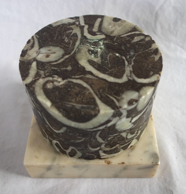 Socle colonne en marbre brèche gris - travail italien de style Louis XVI néoclassique