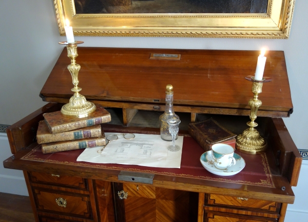 Louis XVI rosewood marquetry writing desk for a child - 18th century
