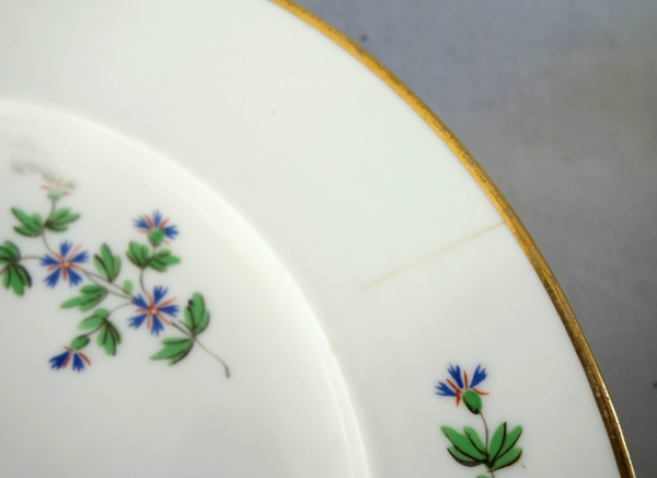 Dihl & Guerhard Manufacture : set of 12 table plates, Louis XVI style - signed