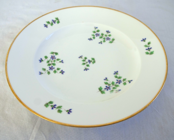 Dihl & Guerhard Manufacture : set of 12 table plates, Louis XVI style - signed