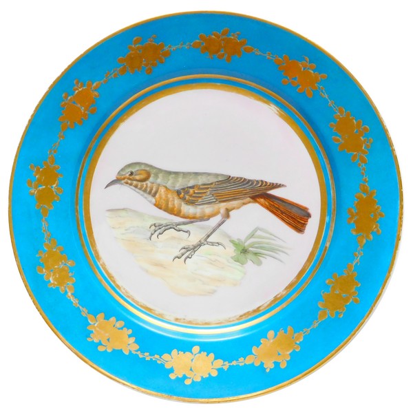 Sèvres 1867 : assiette en porcelaine polychrome et dorée à l'or, décor de moineau d'après Buffon, époque XIXe