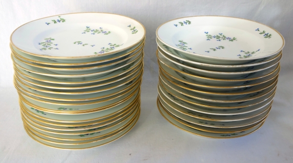 Dihl et Guerhard Manufacture : Louis XVI style table set - 43 pieces - Empire period
