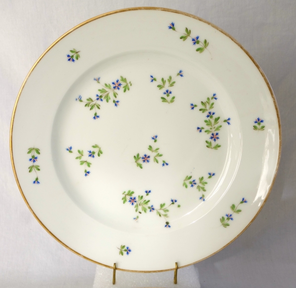 Dihl et Guerhard Manufacture : Louis XVI style table set - 43 pieces - Empire period
