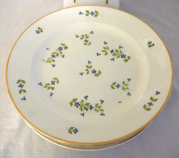 Dihl et Guerhard Manufacture : Louis XVI style table set - 43 pieces - Empire period