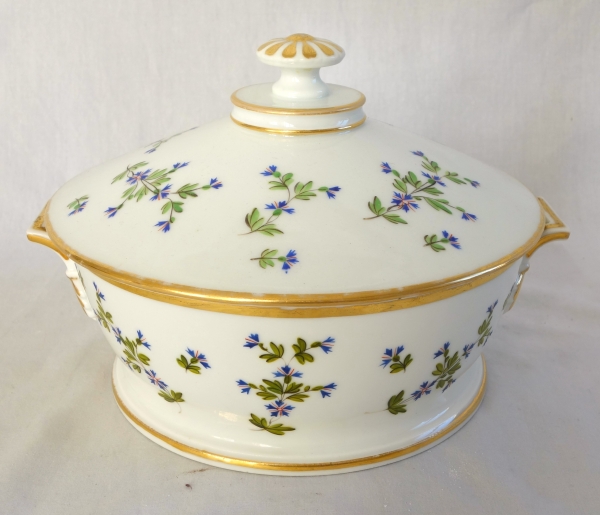 Dihl et Guerhard Manufacture : Louis XVI style table set - 43 pieces - Empire period