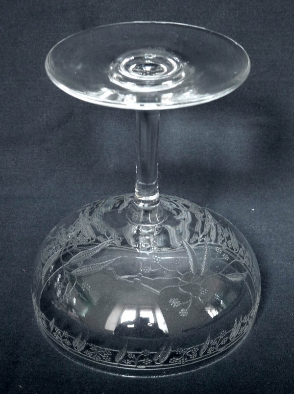 Baccarat crystal champagne glass, Mimosas pattern