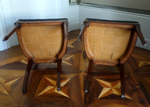 Paire de chaises à l'étrusque en acajou d'époque Directoire, couverture en crin de cheval