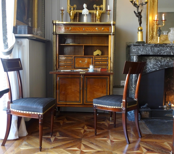 Paire de chaises à l'étrusque en acajou d'époque Directoire, couverture en crin de cheval