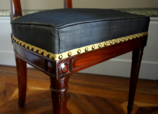 Paire de chaises à l'étrusque en acajou d'époque Directoire, couverture en crin de cheval