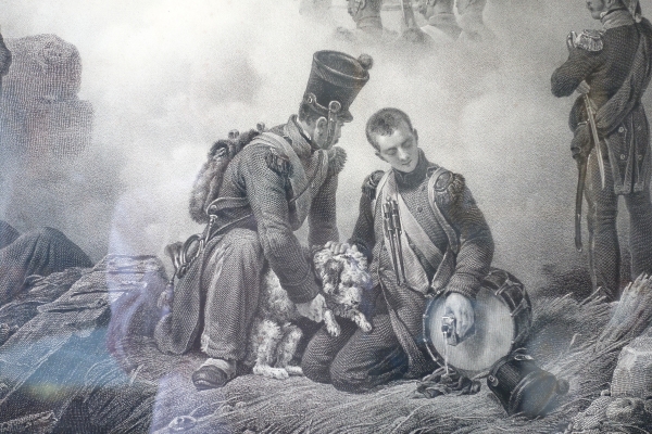 Large Empire engraving by Vernet : injured dog on the battlefield - gold leaf gilt frame