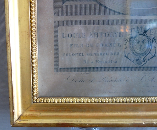 Gravure royaliste, portrait de Louis XIX Dauphin de France et Duc d'Angoulême