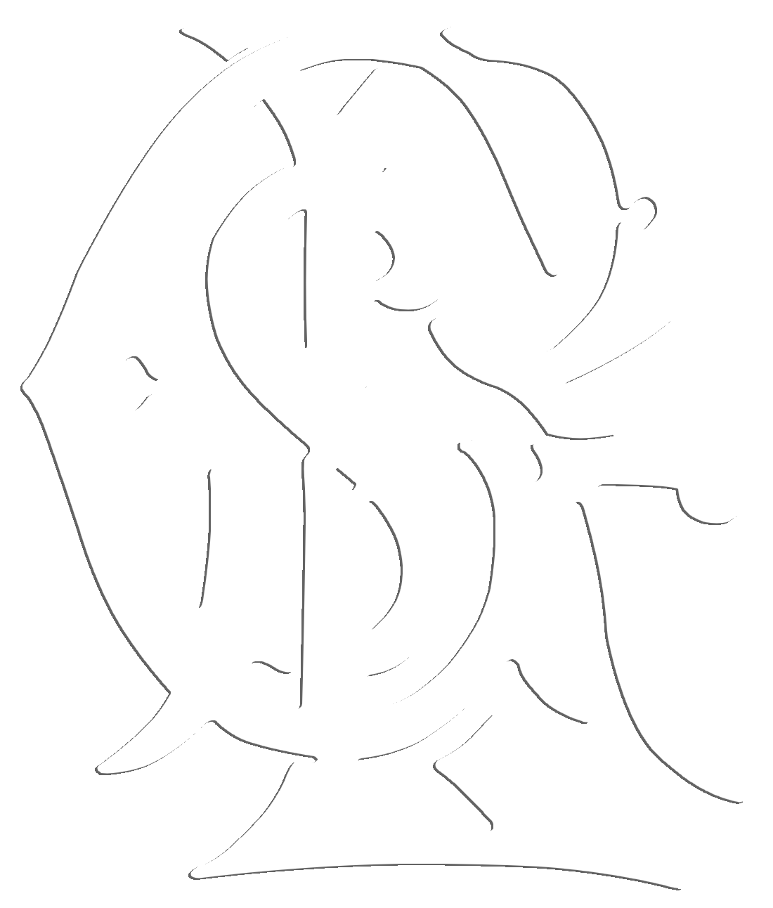 Logo GSLR